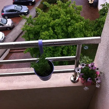 Sun Salutation Apartman